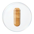 天然假马齿苋