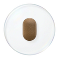 绿咖啡豆提取物