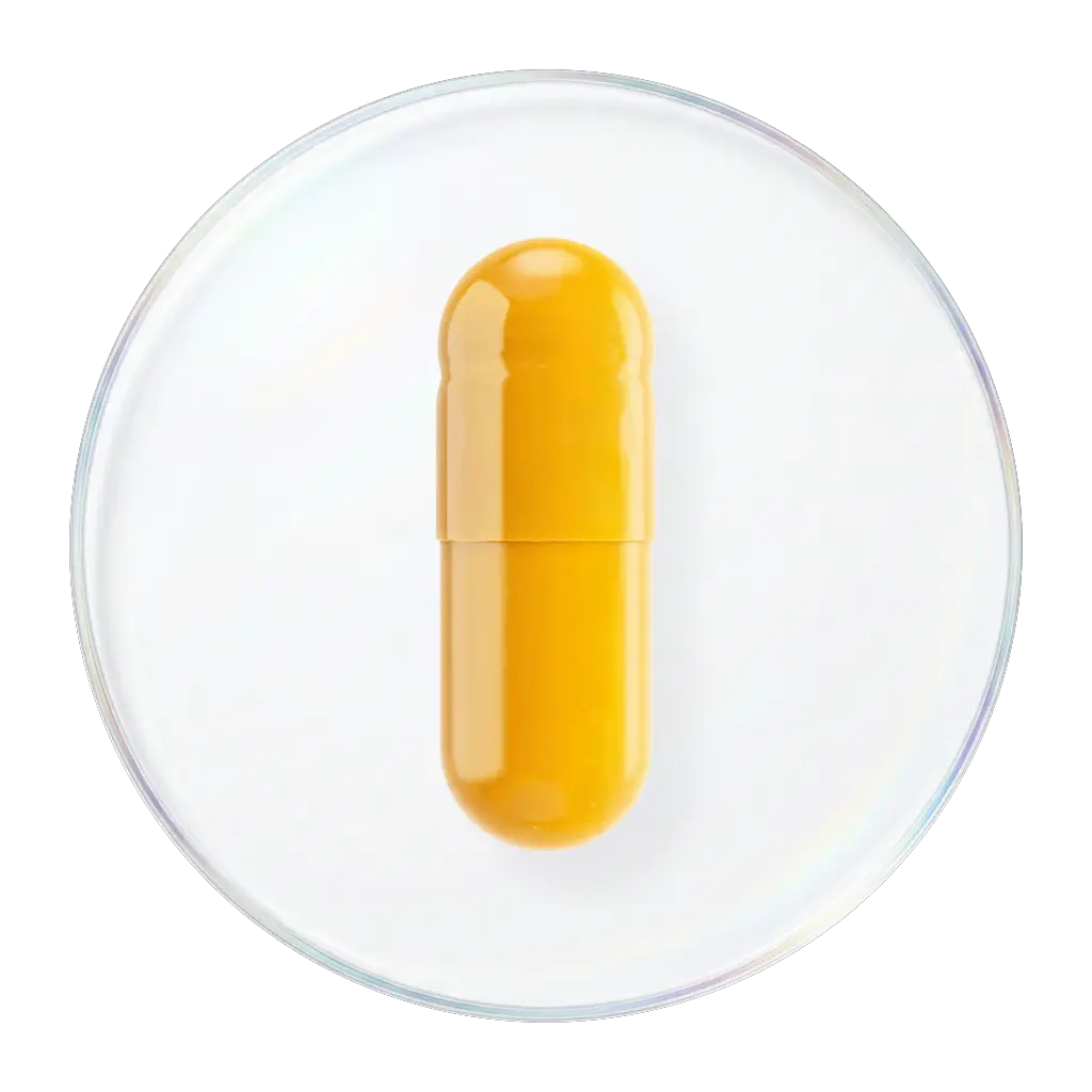 BioPerine姜黄素