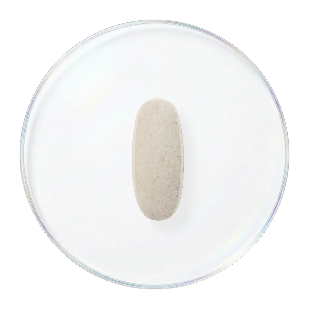 双效膳食纤维