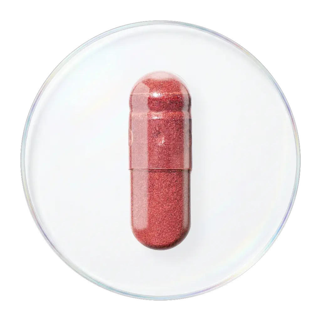 葡萄籽提取物