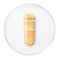 乳蓟提取物