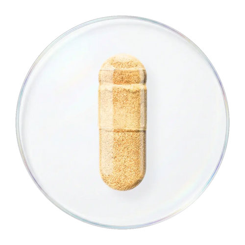 乳蓟提取物