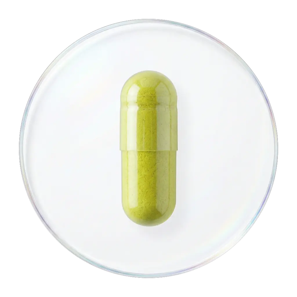 槲皮素精华